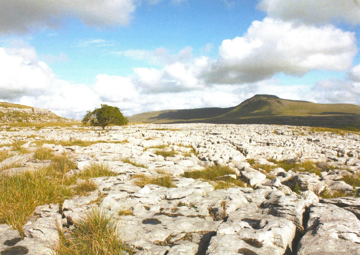 Handstone Photography Yorkshire landscape cards