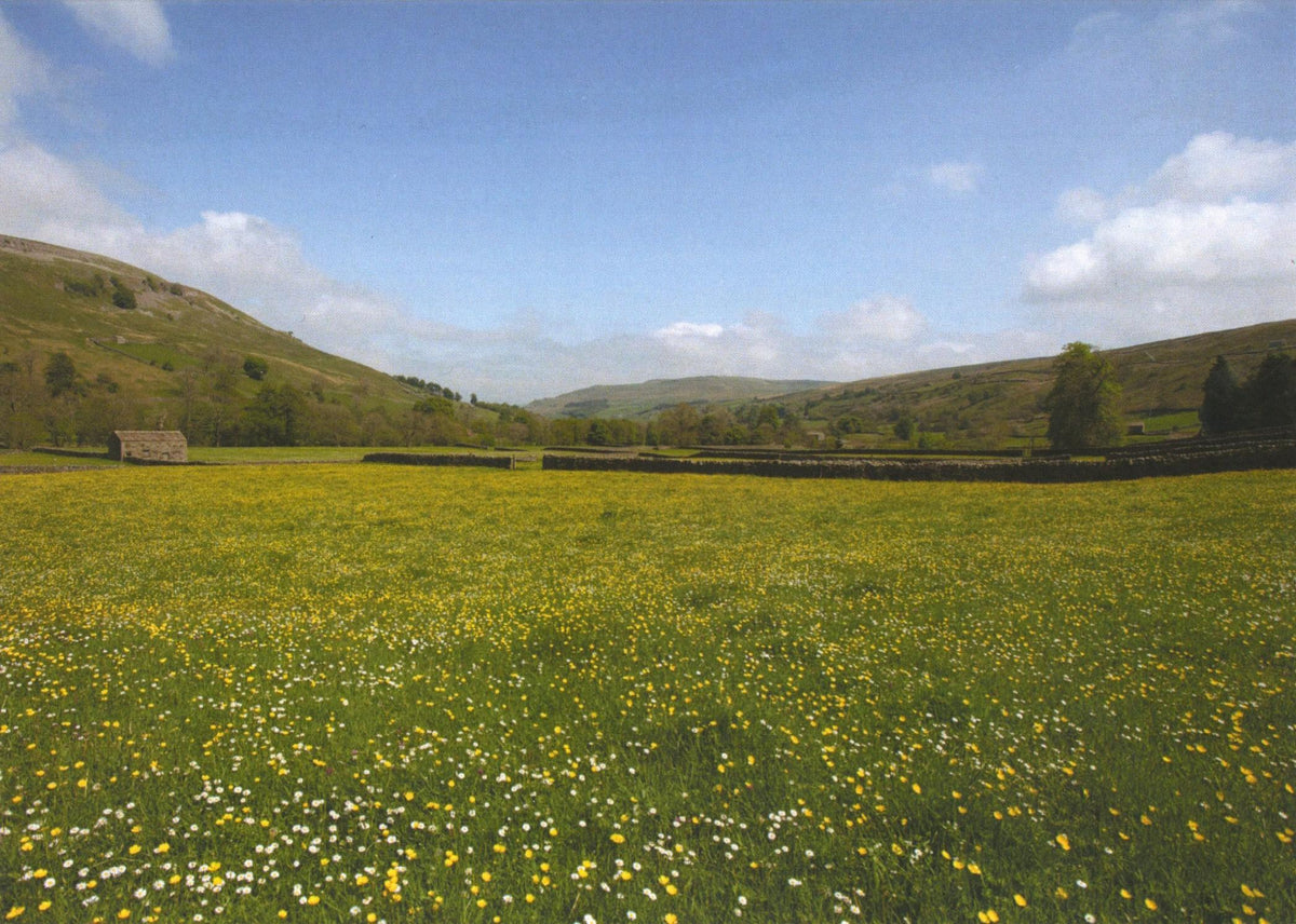 Handstone Photography Yorkshire landscape cards
