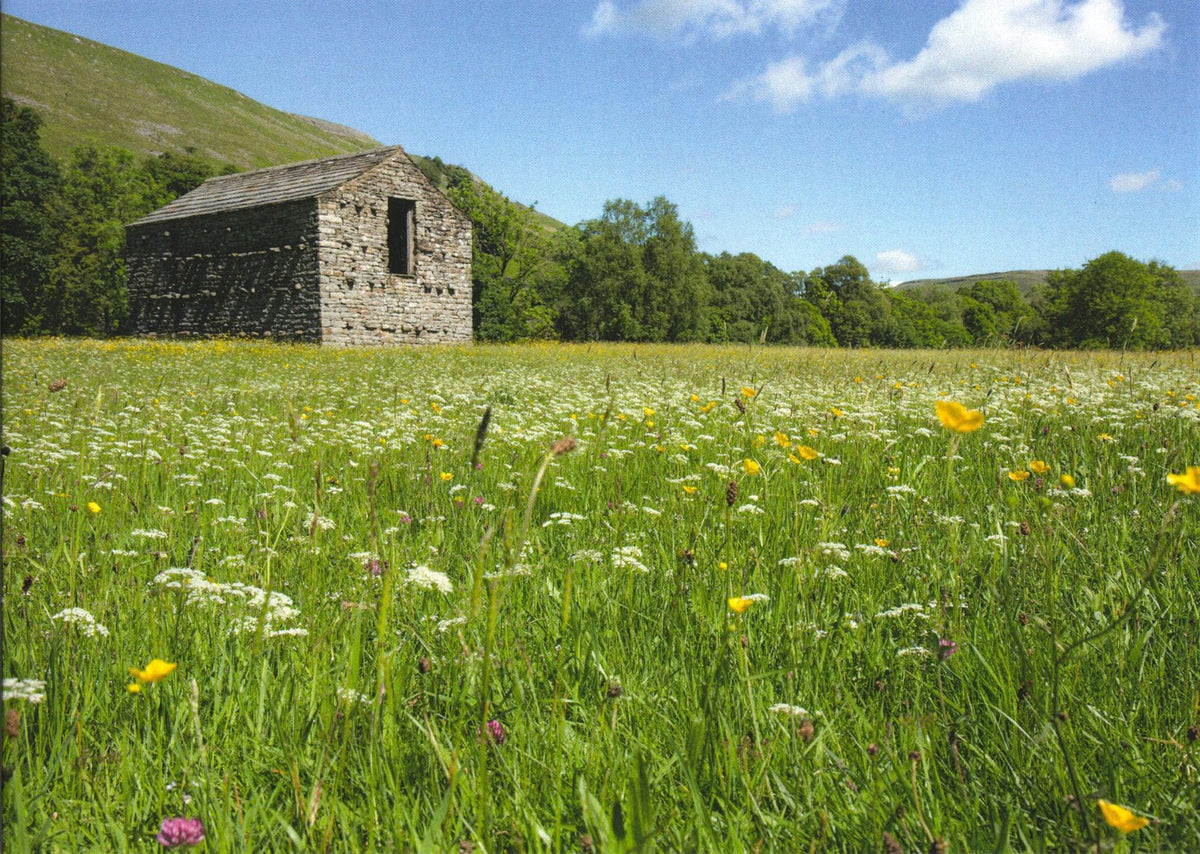 Handstone Photography Yorkshire landscape cards