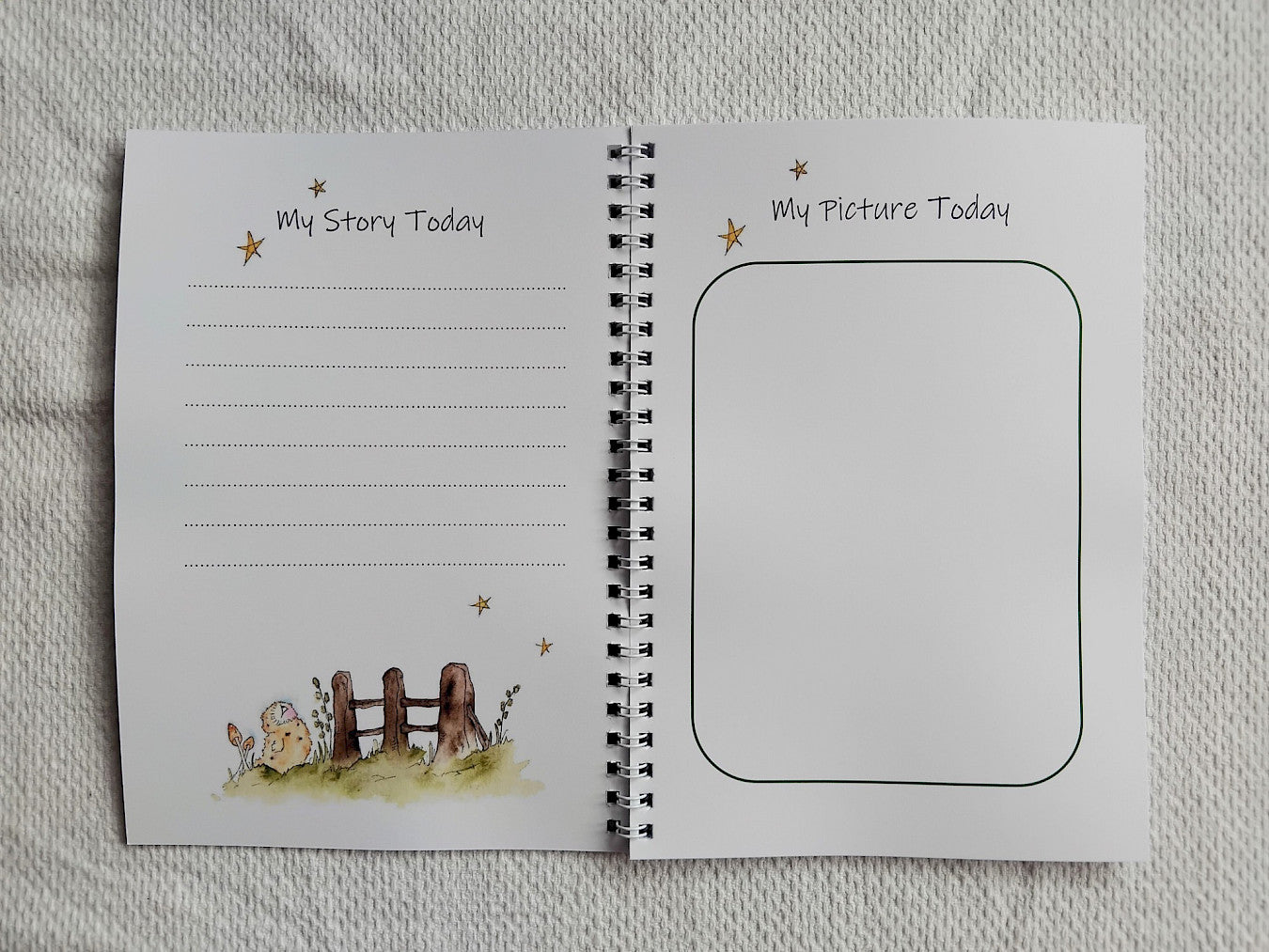 'My Story & Picture Book'