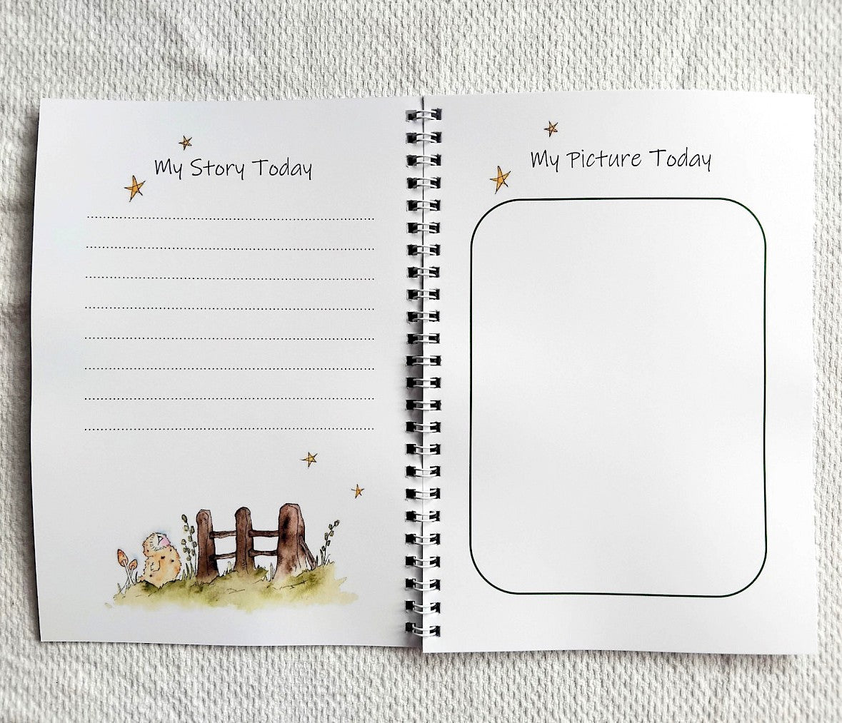 'My Story & Picture Book'