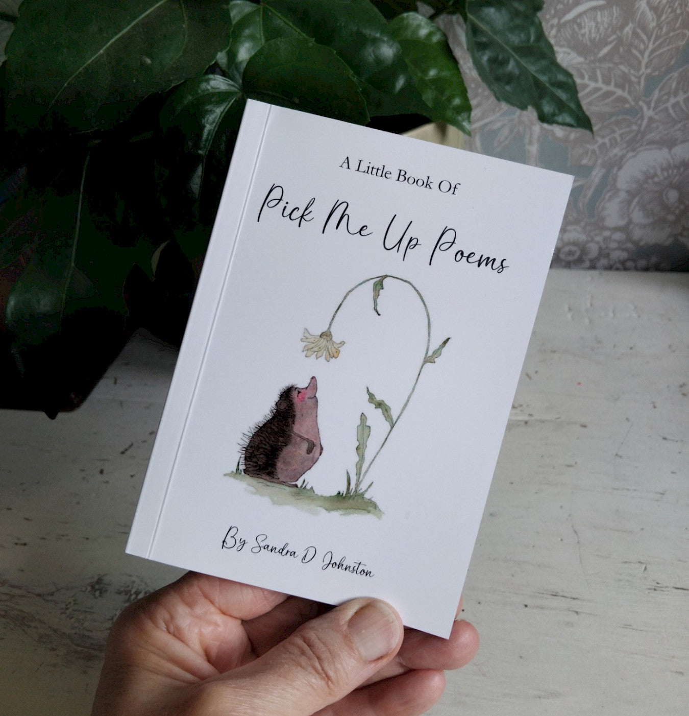 Lovely Little Book - Pick Me Up Poems