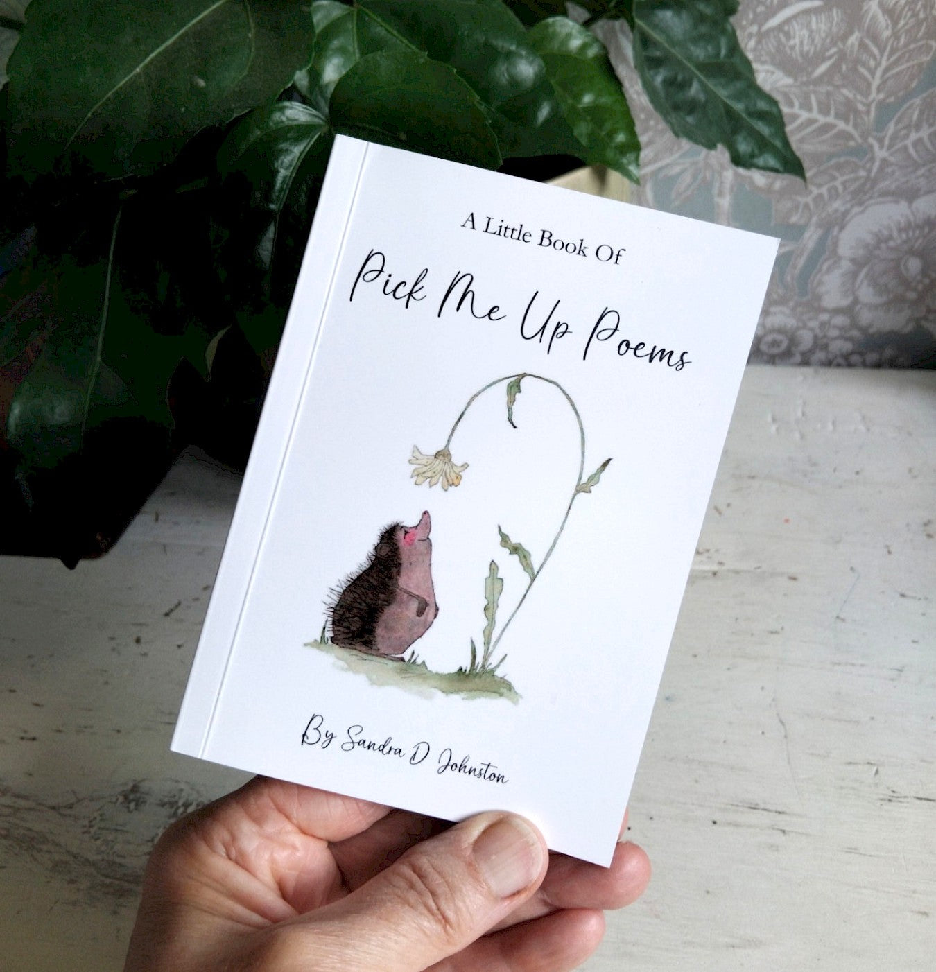 Lovely Little Book - Pick Me Up Poems